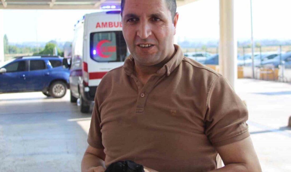 Adana’da Kurban Bayramı’nın ilk gününde acemi kasaplar yine hastanelik oldu.