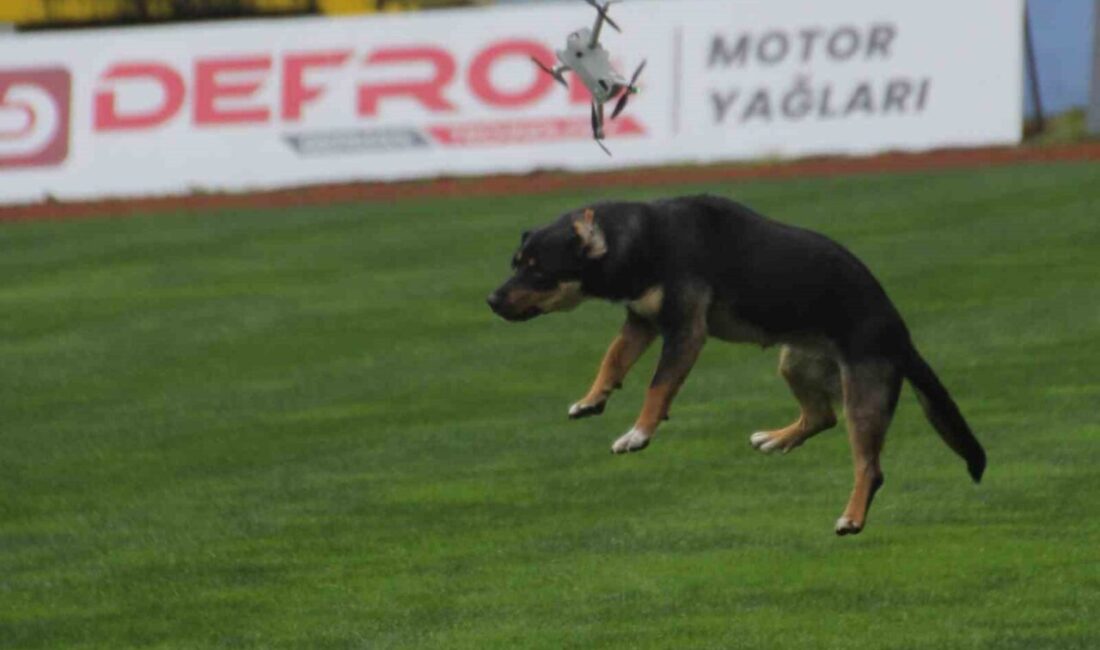 Ordu’nun Altınordu ilçesinde 19 Mayıs Atatürk’ü Anma, Gençlik ve Spor