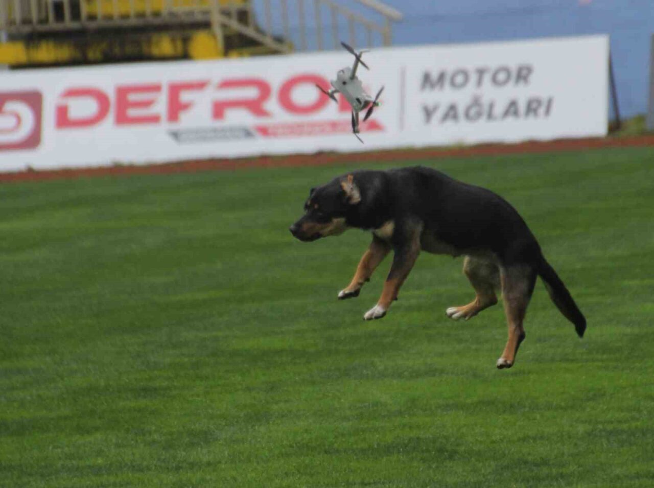 Ordu’nun Altınordu ilçesinde 19 Mayıs Atatürk’ü Anma, Gençlik ve Spor