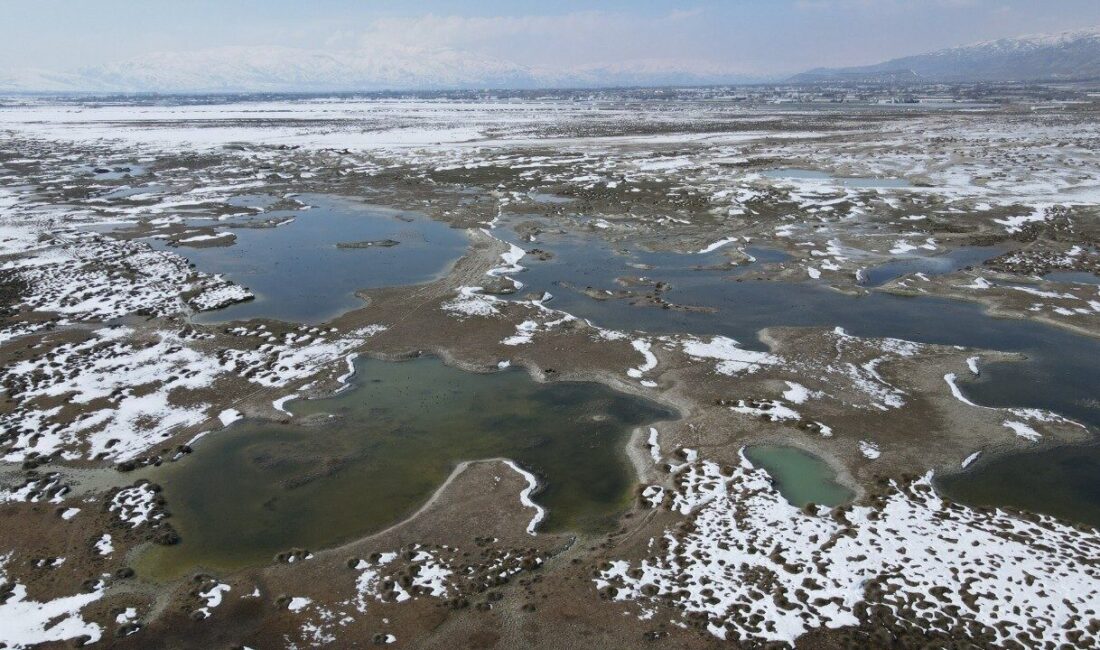 Erzincan’daki Ekşisu Mesire Alanı, dünyada ender rastlanan doğal oluşumlarından biriyle