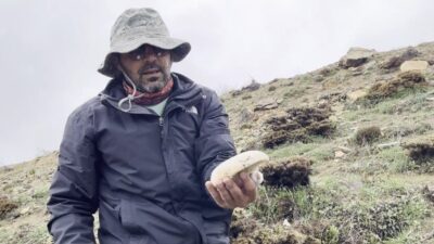 Erzincan’da yüksek rakımlı dağlarda kendiliğinden yetişen “çaşır” mantarı, pazarda kilogramı