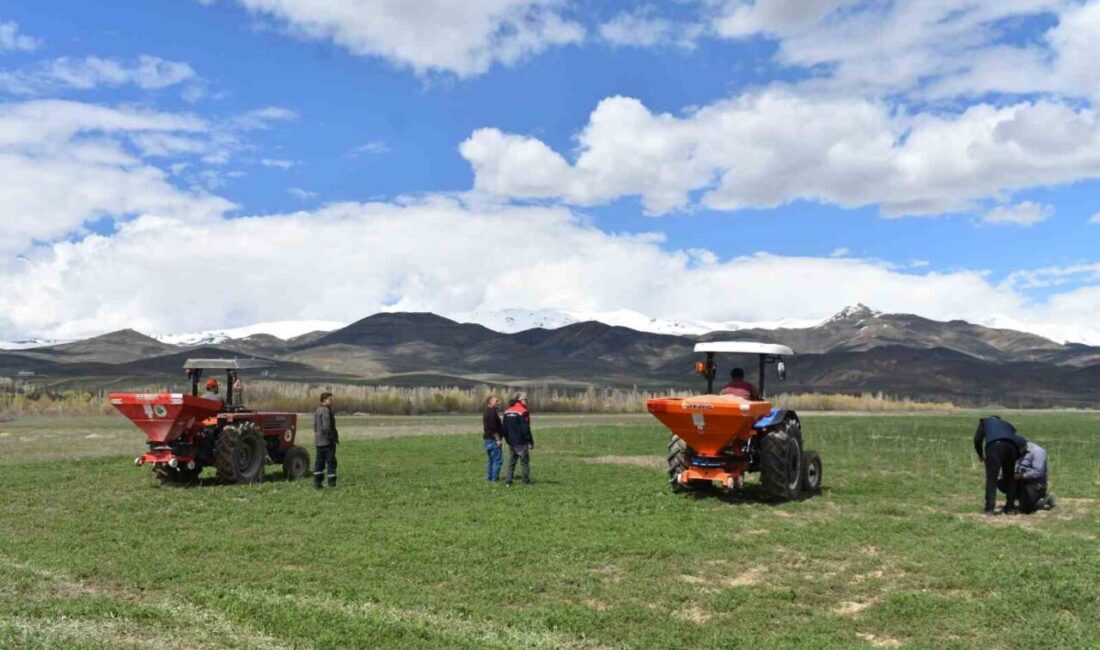 Bayburt’un Aşağı Dikmetaş köyünde 2025 yılında tesis edilen 200 dekar