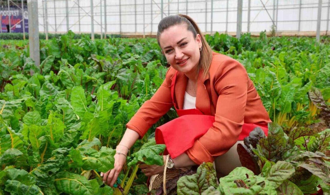 Antalya Büyükşehir Belediyesi ev sahipliğinde bu yıl 5’incisi gerçekleştirilen Uluslararası