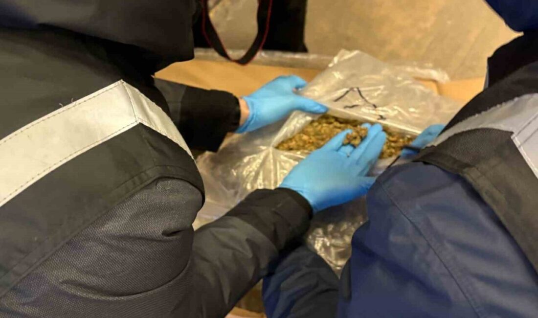 Ticaret Bakanlığı Gümrükler Muhafaza ekiplerince Gürbulak, Kapıkule, Kapıköy, İpsala Gümrük