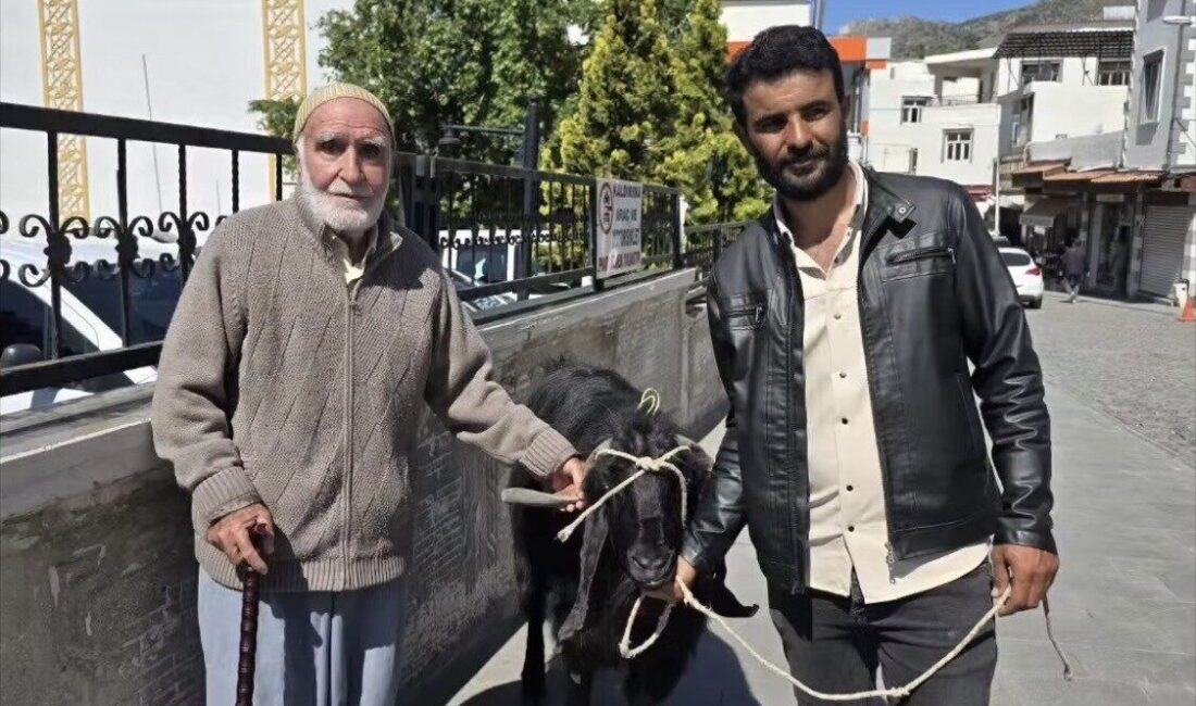 Diyarbakır’ın Çermik ilçesinde kurbanlık telaşı devam ederken, bir besici 70