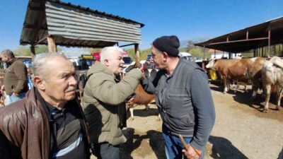 Bolu’nun Mudurnu ilçesinde kurulan hayvan pazarında, 704 kilogram ağırlığındaki kurbanlık