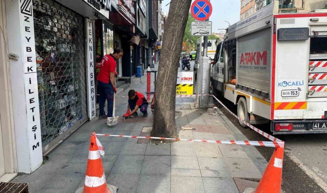 Kocaeli Büyükşehir Belediyesi ekipleri, yaklaşan Kurban Bayramı dolayısıyla kent genelindeki