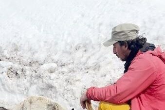 Sahara Geçidi’nde yolculuk yapan Halil İbrahim Mert, yiyecek arayan tilkiyi,