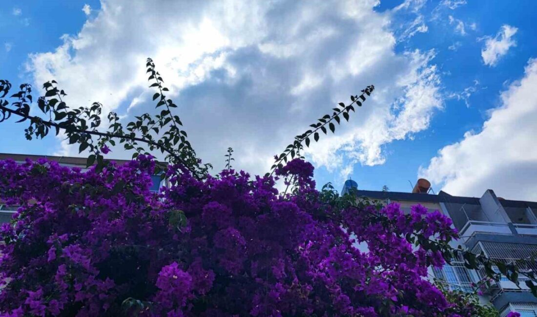 Meteoroloji Genel Müdürlüğü’nün yayımladığı 5 günlük hava durumu tahminine göre