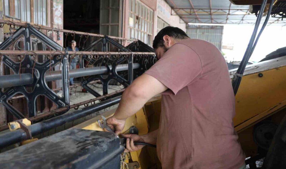 Adana’nın Kozan ilçesinde buğday hasadı öncesi ürün kaybının önüne geçmek