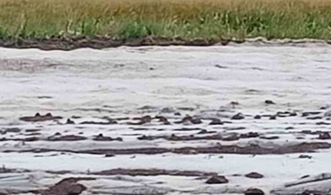 Adana’da etkili olan dolu yağışı tarım arazilerine zarar verdi. Meteoroloji