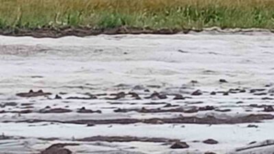 Adana’da etkili olan dolu yağışı tarım arazilerine zarar verdi. Meteoroloji