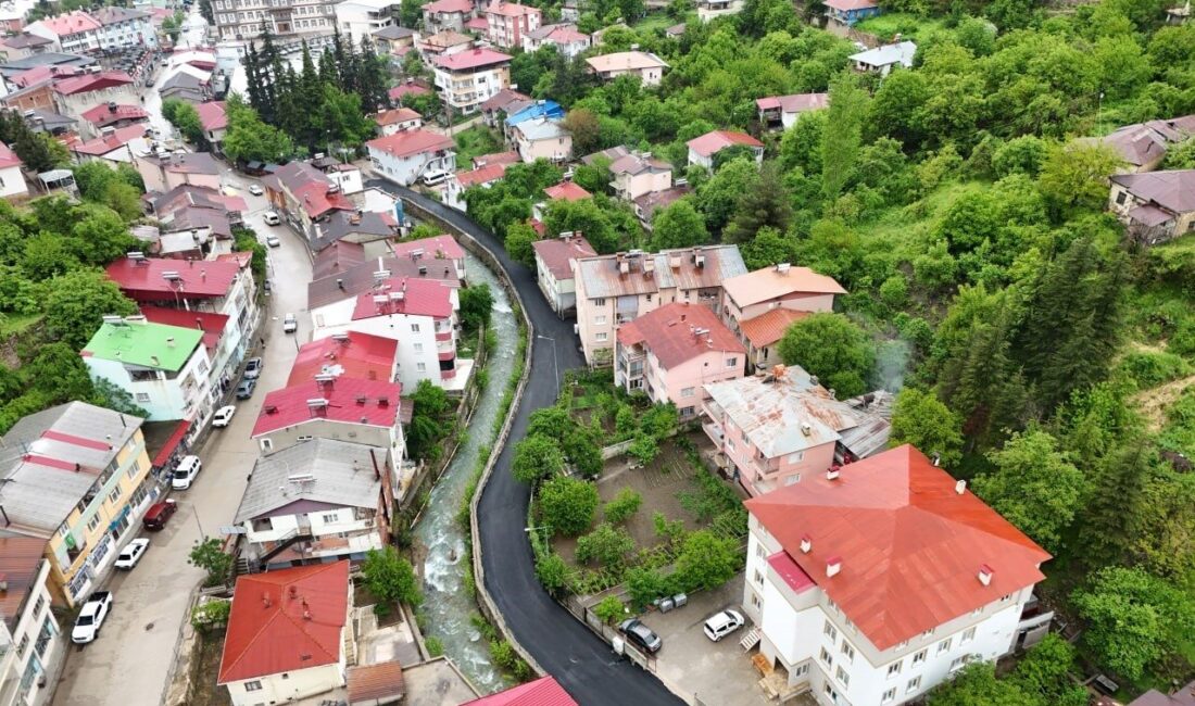 Adana’nın yaz aylarında ekoturizm noktalarından biri olan Saimbeyli ilçesinde sokak