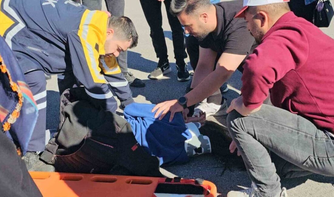 Bitlis’in Adilcevaz ilçesinde bayram ziyaretinde dönenlerin içerisinde bulunduğu hafif ticari