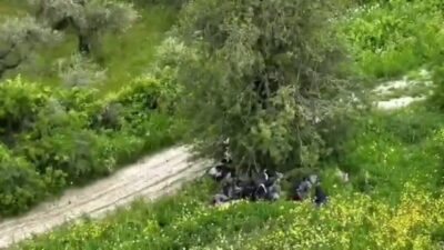 Hatay’da ağaç altında gizlenerek jandarmadan kaçmaya çalışan kaçak göçmenler dron