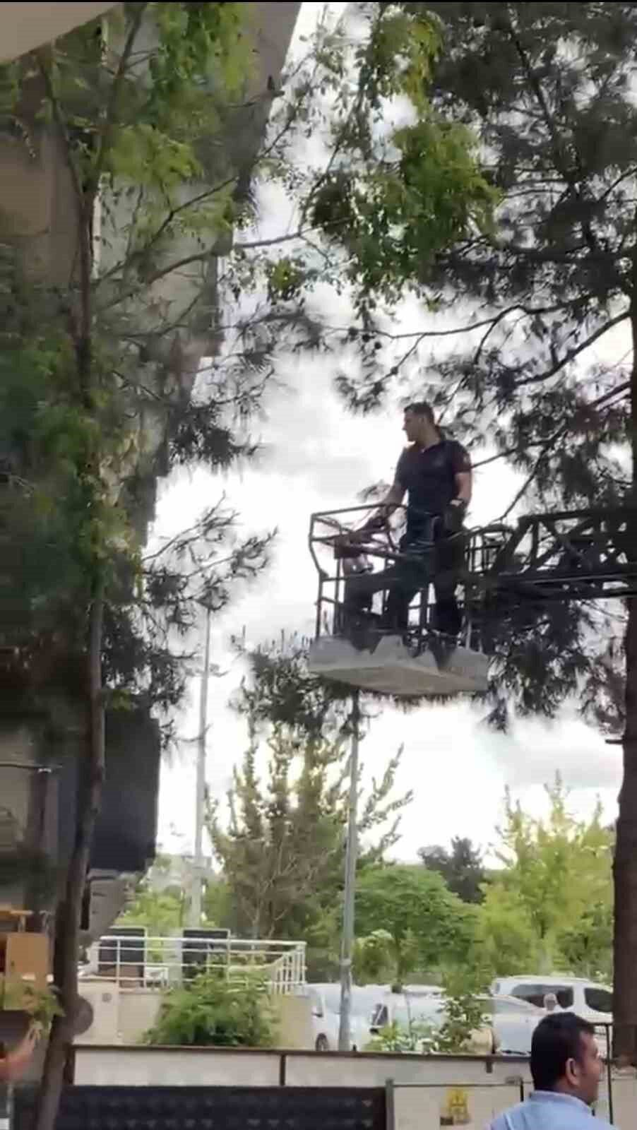 Mardin’in Artuklu ilçesinde ağaçta mahsur kalan kedi, itfaiye ekiplerince kurtarıldı.