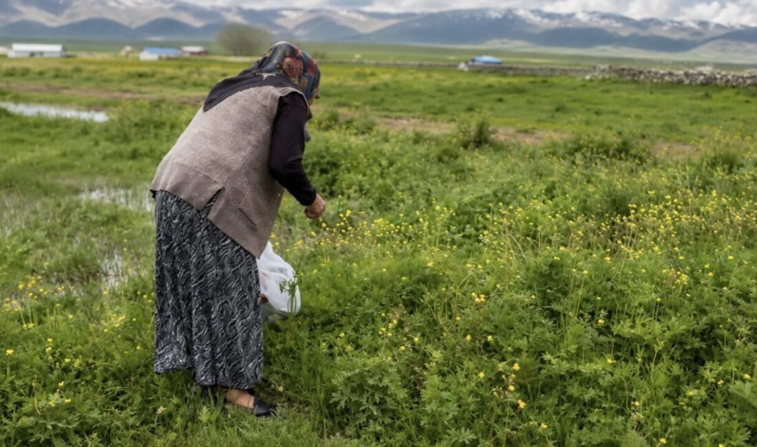 Ağrı merkeze bağlı Yazılı Köyü’nde baharın gelmesiyle birlikte vatandaşlar, doğada