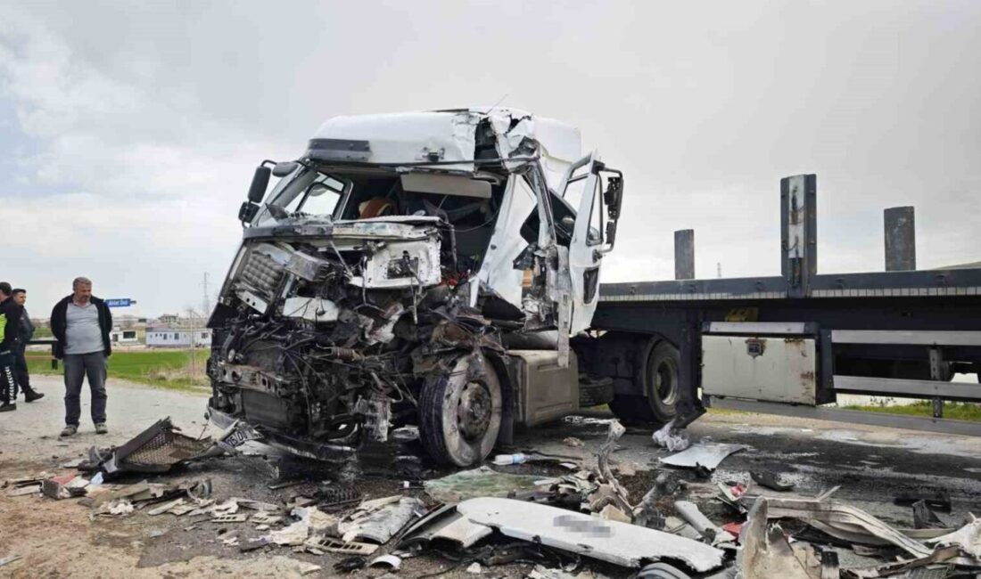 Bitlis’in Ahlat ilçesinde iki tırın çarpışması sonucu meydana gelen trafik