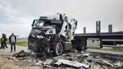 Bitlis’in Ahlat ilçesinde iki tırın çarpışması sonucu meydana gelen trafik