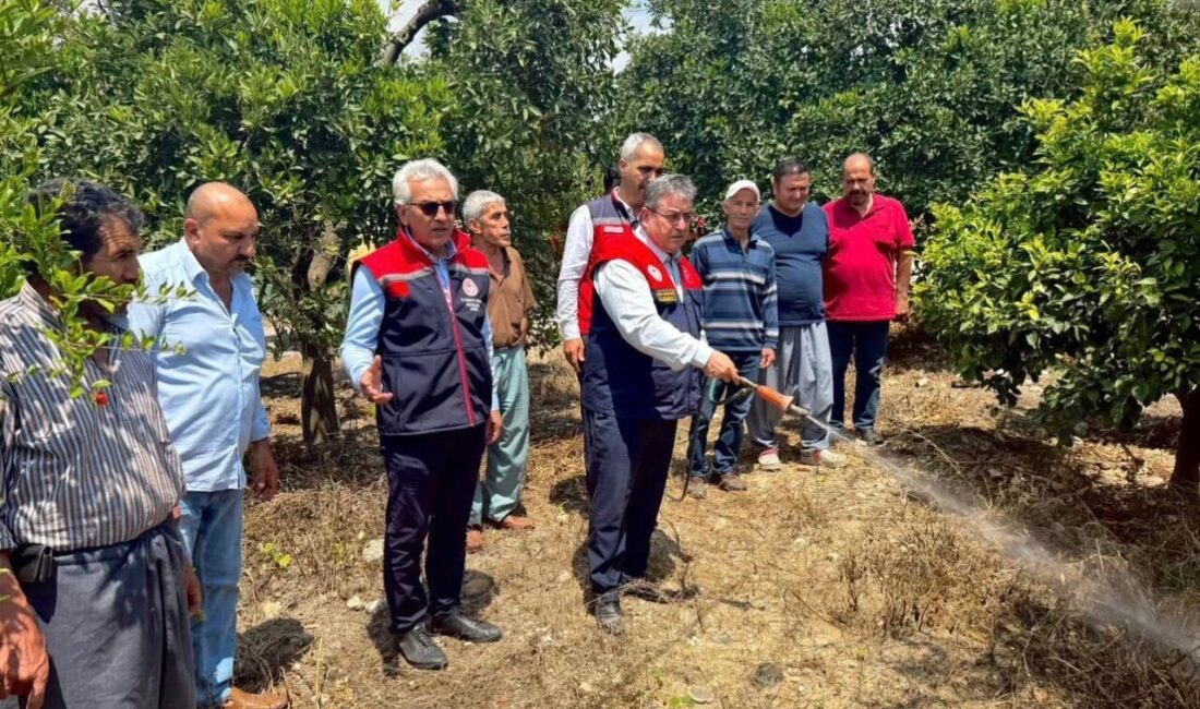 Mersin’de tarımsal üretimi tehdit eden Akdeniz meyve sineğine karşı yürütülen