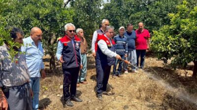 Mersin’de tarımsal üretimi tehdit eden Akdeniz meyve sineğine karşı yürütülen
