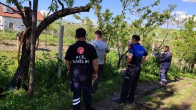 Ankara’nın Akyurt ilçesinde ahırdan kaçan kurbanlık, ekiplerin uzun uğraşları sonucu