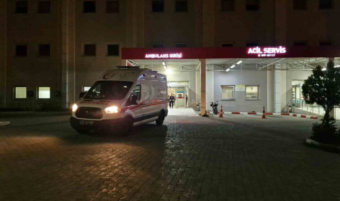 Çorum’un Alaca ilçesinde Kurban Bayramı’nın ilk gününden itibaren kurban kesmek