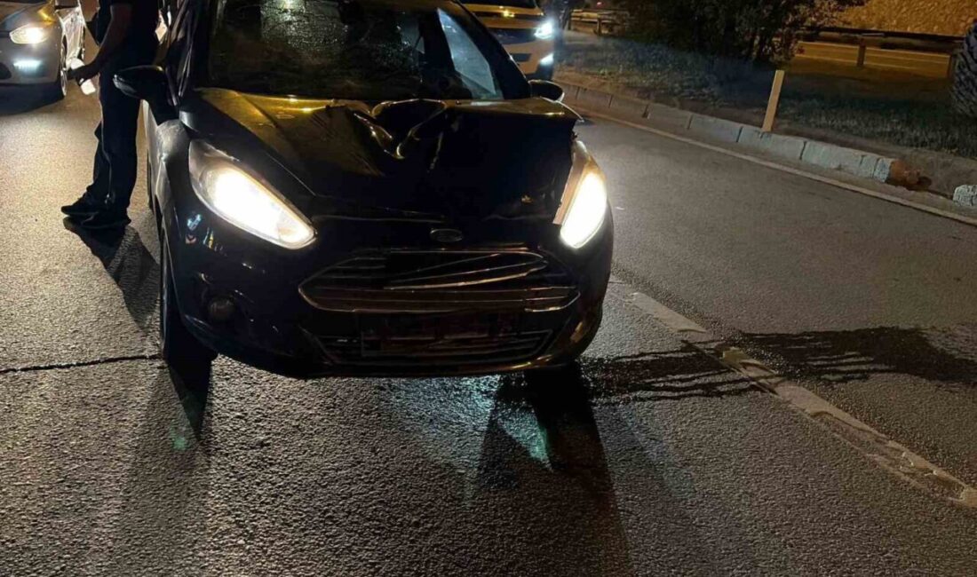 Antalya’nın Alanya ilçesinde D-400 kara yolunda meydana gelen trafik kazasında,