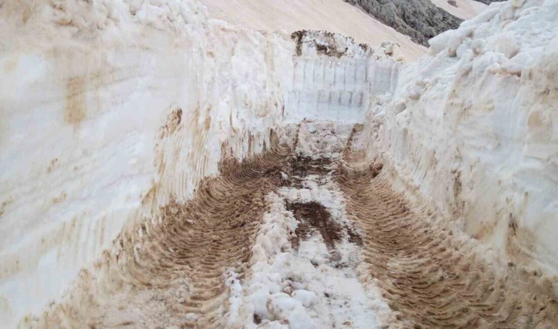 Alanya Belediyesi, karla kaplı yayla yollarında ulaşımın aksamaması için çalışmalarını