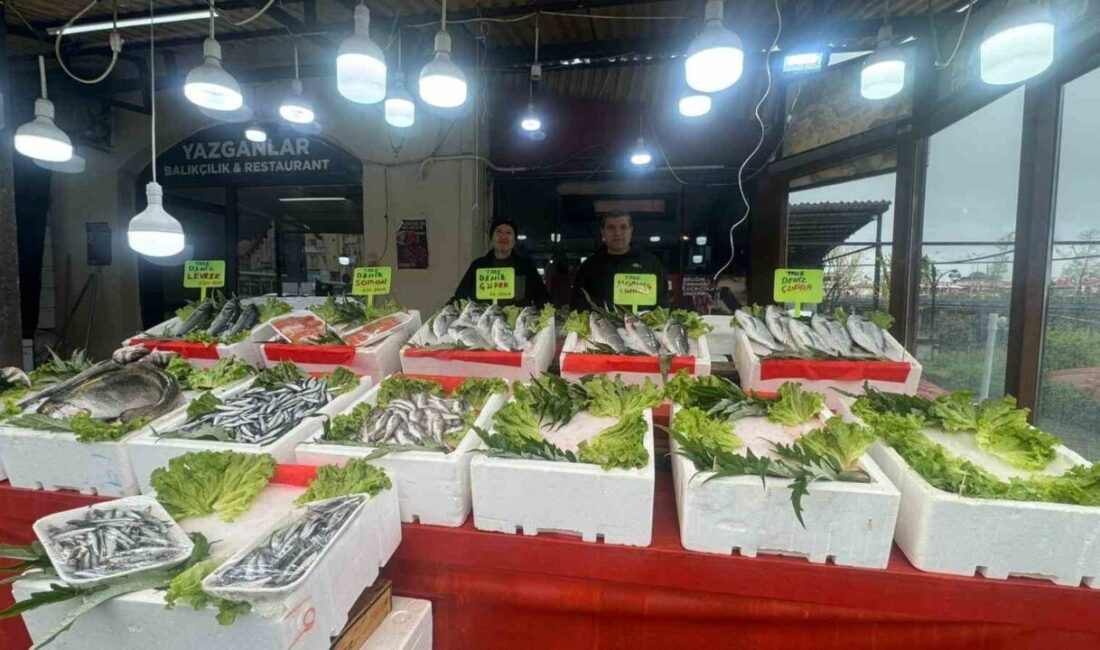 Zonguldak’ın Alaplı ilçesinde 15 Nisan’da başlayan av yasağının ardından azalan