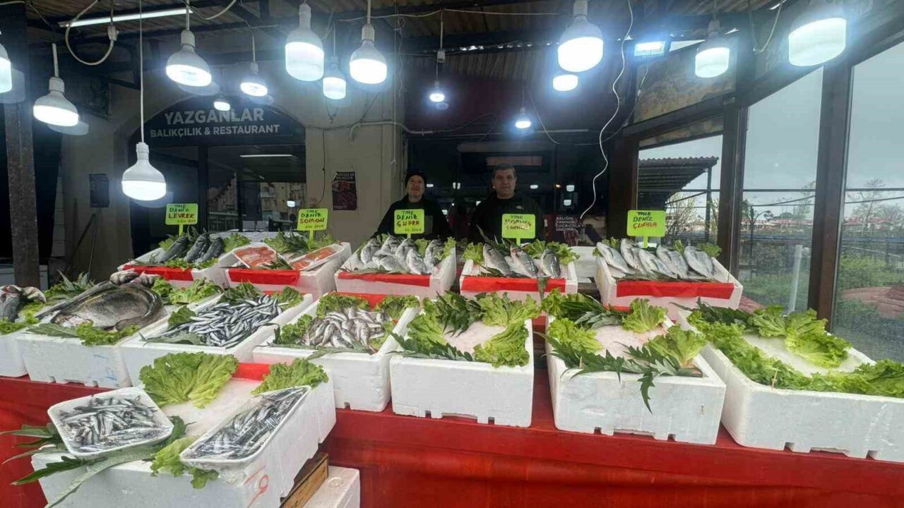 Zonguldak’ın Alaplı ilçesinde 15 Nisan’da başlayan av yasağının ardından azalan