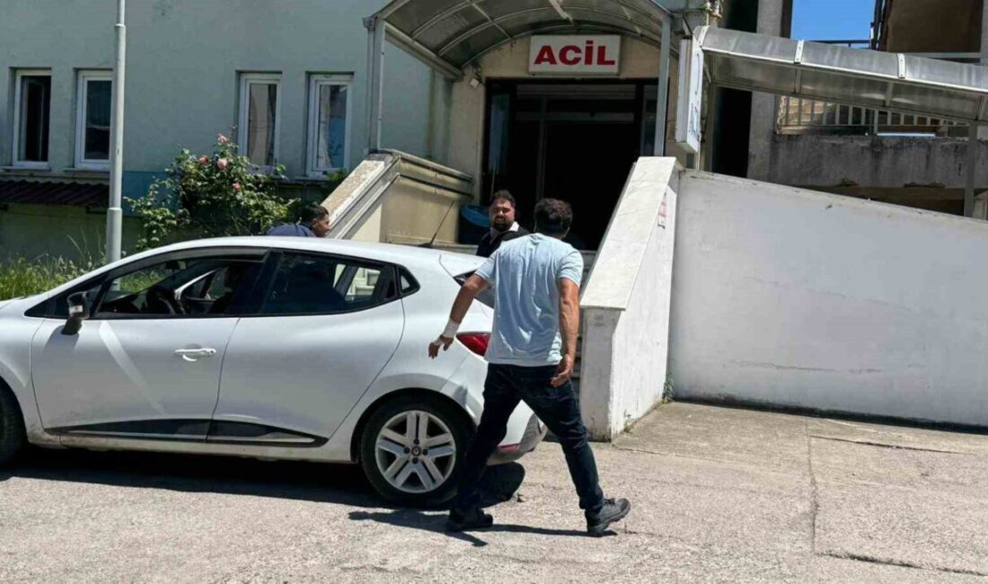 Zonguldak’ın Alaplı ilçesinde kurban keserken yaralanan 8 kişi, soluğu hastanelerde