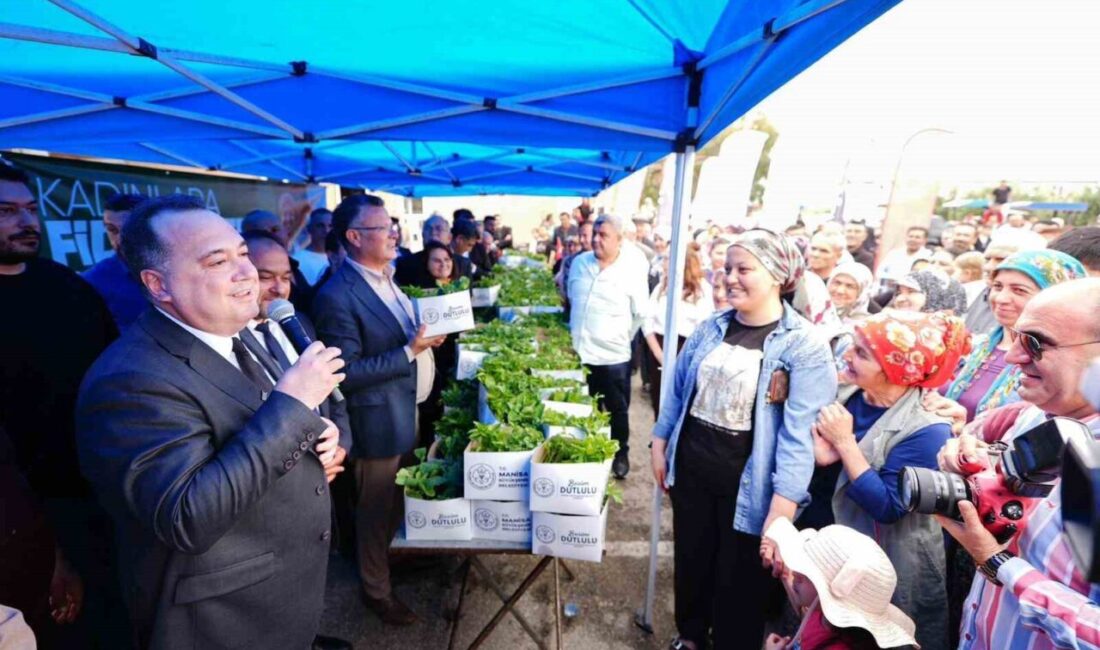 Manisa Büyükşehir Belediyesi ile Alaşehir Belediyesi iş birliğinde yürütülen proje