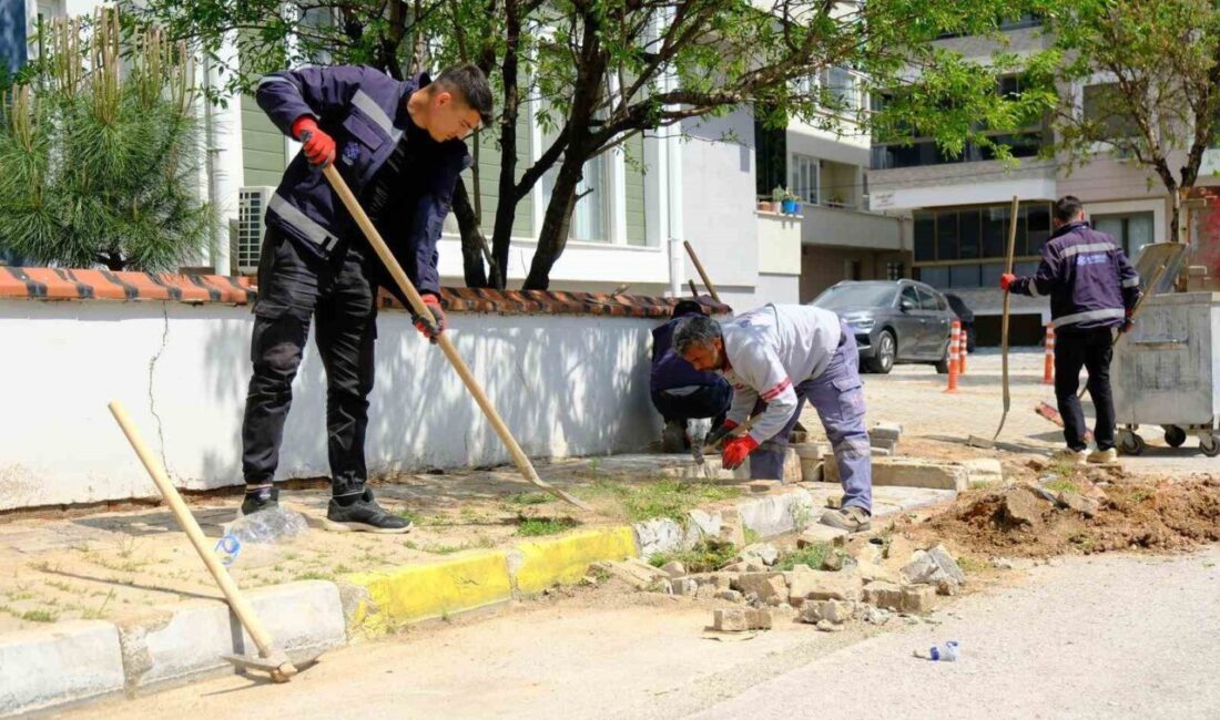 Altıeylül Belediyesi Park ve Bahçeler Müdürlüğü ekipleri, ilçe genelinde yürüttüğü