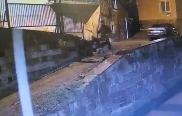 Kayseri’de çaldığı forklifle kuyumcunun kepengini açarak altınları çalıp sonrasında da