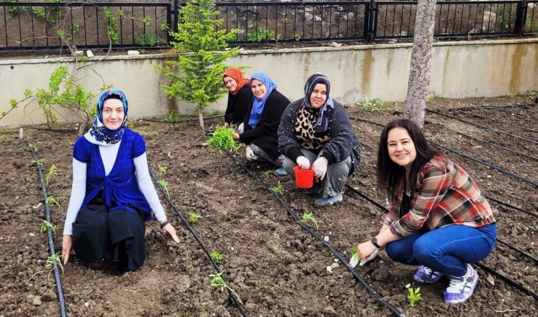 Kütahya’nın Altıntaş ilçesinde bulunan Zafer İlkokulu öğretmenleri, yerli tohumlardan yetiştirdikleri