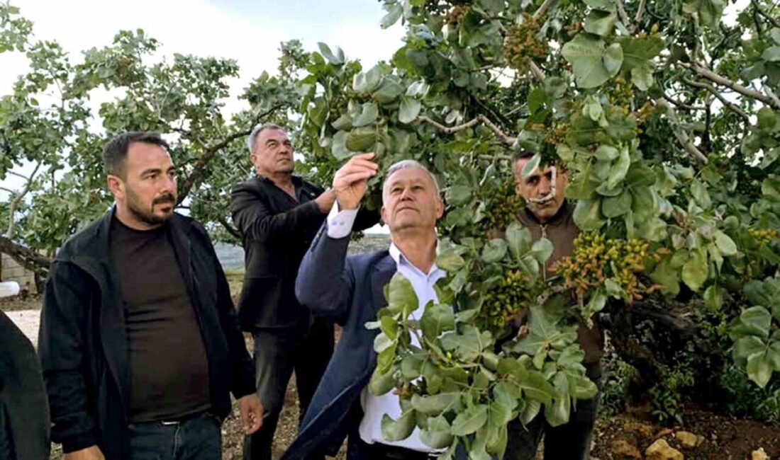 Araban Ziraat Odası ve Sarımsak Üretici Birliği Başkanı Hasan Altun,