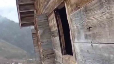 Rize’de yayla evinin camlarını kırık gören yaylacı eve giren ayıya