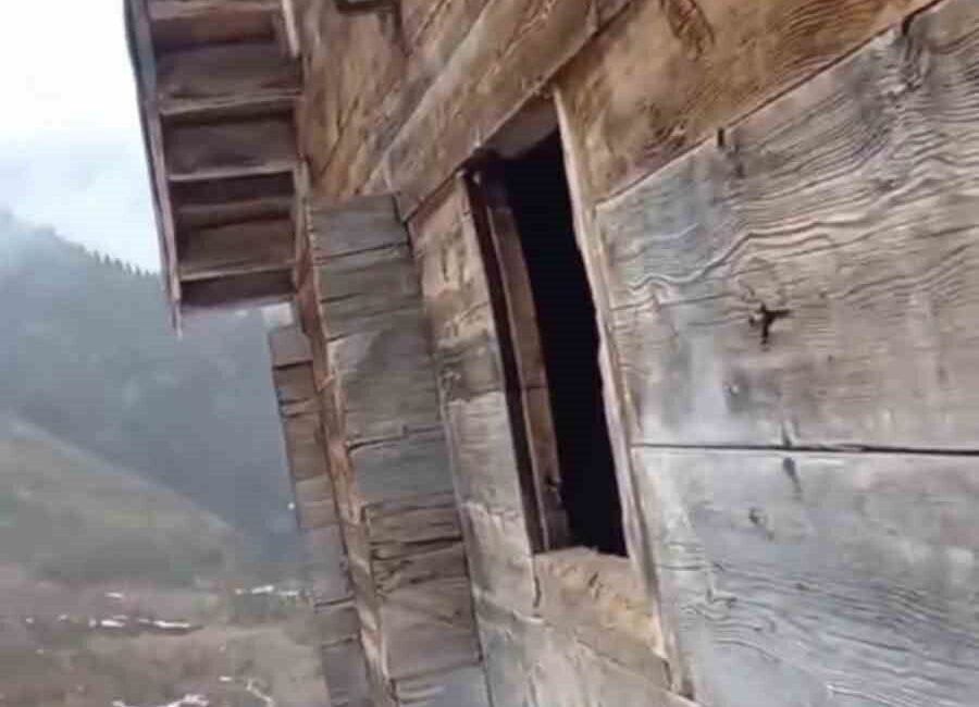Rize’de yayla evinin camlarını kırık gören yaylacı eve giren ayıya