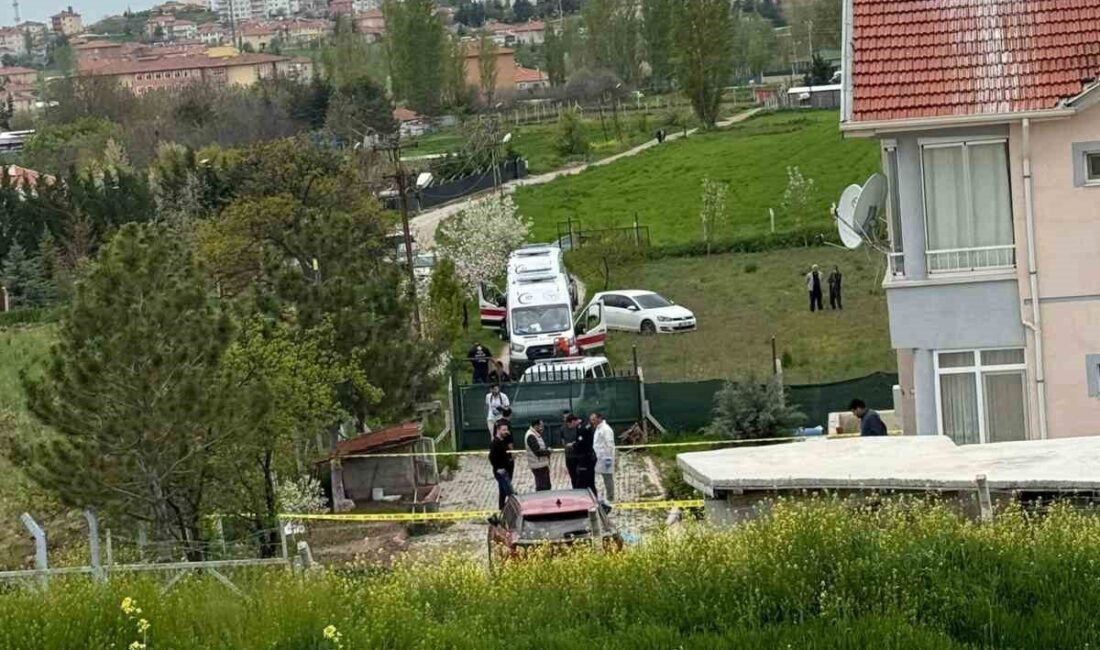 Ankara’nın Çubuk ilçesinde bir şahıs, kavga ettiği ağabeyi tarafından darbedilerek