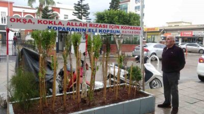 HATAY (İHA) – Hatay’da annesinin çok sevdiği reyhan çiçeklerini 40