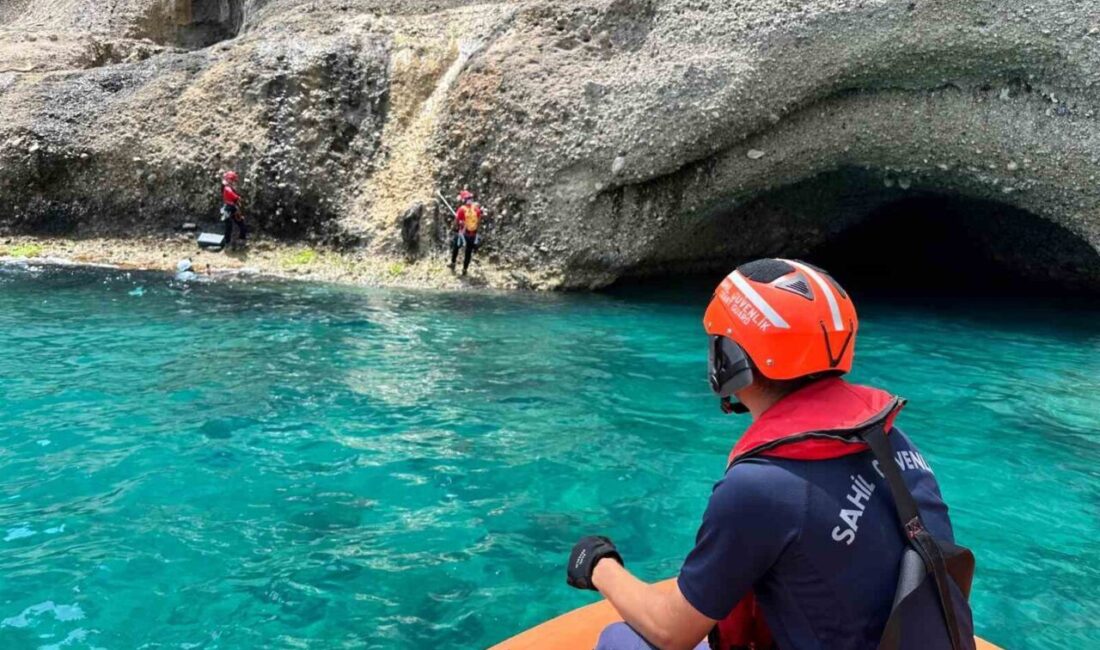 Antalya’nın Kemer ilçesinde nesli tehlike altında bulunan Akdeniz foklarının yaşam