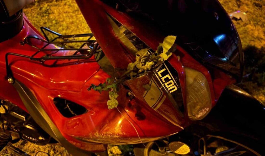 Antalya’nın Alanya ilçesinde D-400 kara yolu üzerinde meydana gelen motosiklet