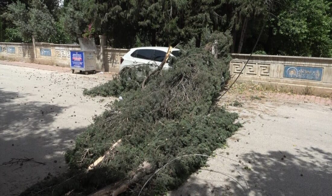 Antalya’nın Muratpaşa ilçesinde etkili olan şiddetli rüzgar, yumuşayan zemine daha