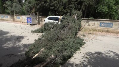 Antalya’nın Muratpaşa ilçesinde etkili olan şiddetli rüzgar, yumuşayan zemine daha