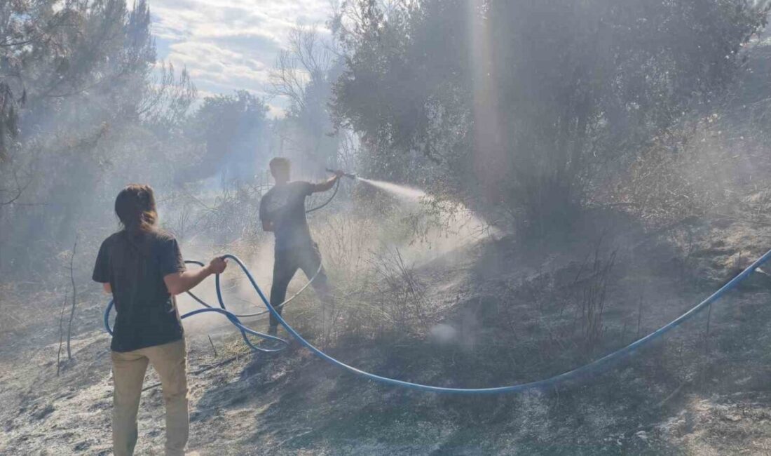Antalya’nın Aksu ilçesinde ormanlık alanın farklı noktalarında çıkan yangın, itfaiye