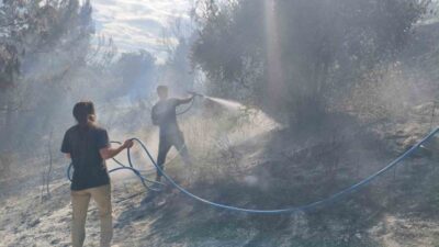 Antalya’nın Aksu ilçesinde ormanlık alanın farklı noktalarında çıkan yangın, itfaiye