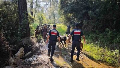 Antalya’nın Kumluca ilçesinde sürüden ayrılıp kaybolan 41 keçi, jandarma ekipleri