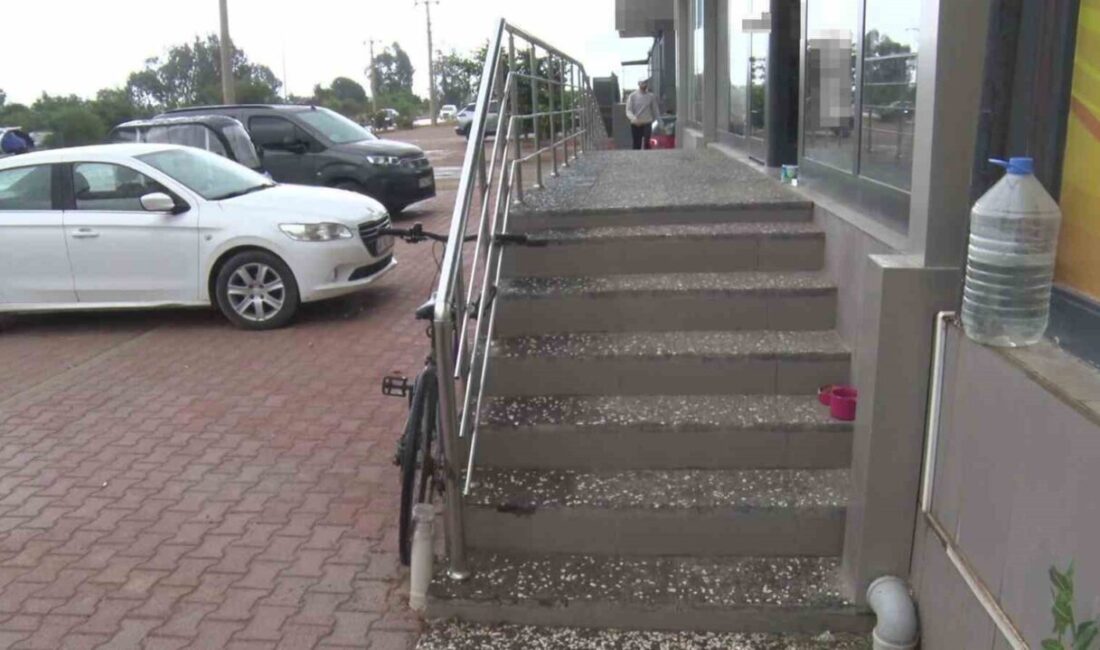 Antalya’da yabancı uyruklu bir şahıs mahalledeki esnafın beslediği kediyi ayağıyla