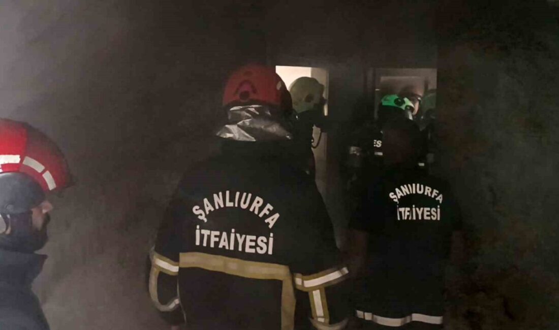 Şanlıurfa’nın en işlek caddeleri arasında yer alan Sarayönü Caddesi’ndeki bir